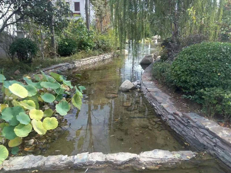 鄭州市黑臭水體問題明年全面解決