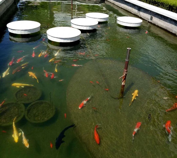 全自動過濾消毒系統(tǒng)