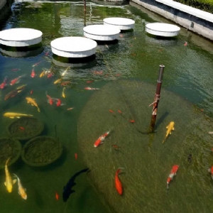 全自動過濾消毒系統(tǒng)