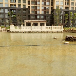 魚(yú)池過(guò)濾器客戶實(shí)地效果展示